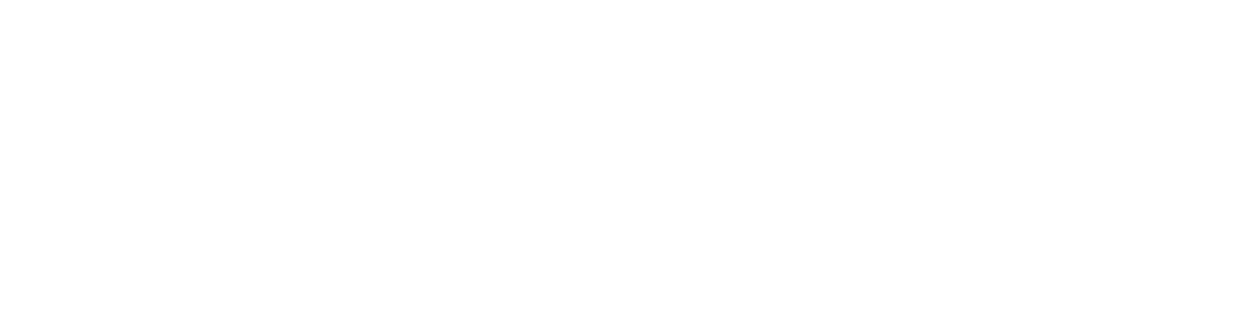 הקמת אתרי וורדפרס